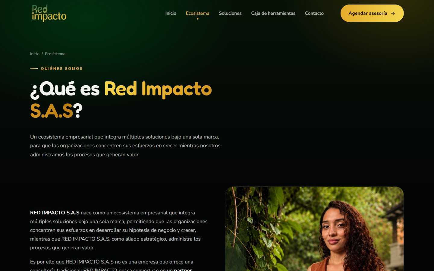 Ecosistema empresarial